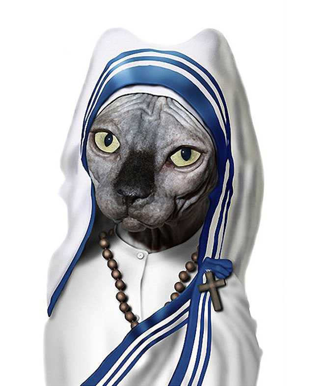 MOTHER TERESA - Dog Disguisefamous person faces celebrity animal funny